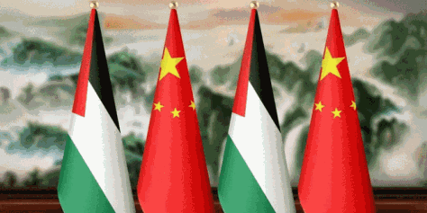 中方支持巴勒斯坦成为联合国正式成员国