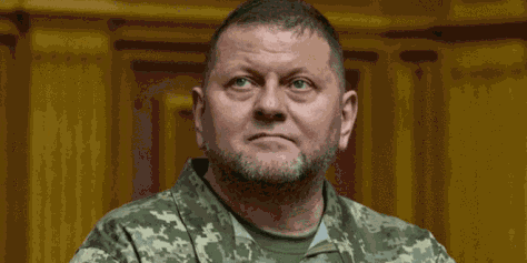 乌媒：乌军前总司令因健康原因被解除现役