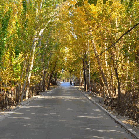 新疆夏天最美的地方排行榜