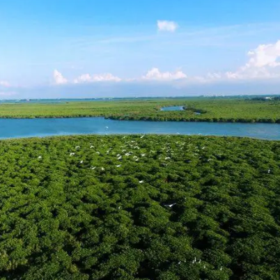 东寨港国家级自然保护区
