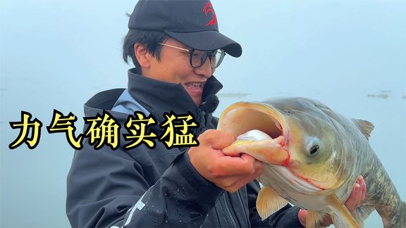 江西吉安行，这里的鱼的力气真有点大哦！