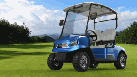 雷利诺2座高尔夫球车电动专用车官方图片