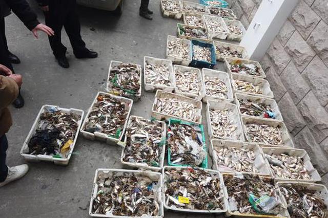 长江上海段水域破获2021年首起非法捕捞案 15人被捕