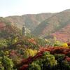 济南红叶谷给秋天添了一抹红