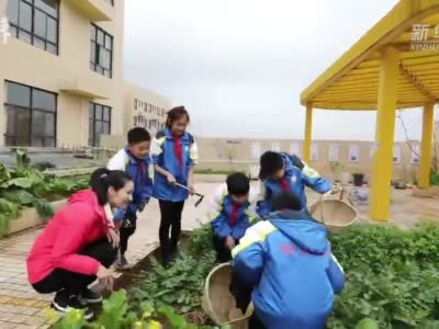 赣州一小学楼顶变“开心农场” 学生种瓜果蔬菜