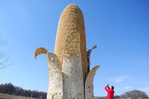 吉林舒兰现10米高“超级大玉米”