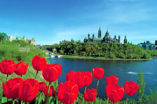 “周”游世界特别策划：加拿大留学之旅