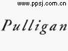 Pulligan