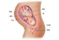 孕妈警惕这4种胎位易造成难产