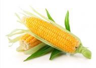 玉米可降低老年黄斑病变率
