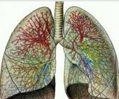 矽肺肺部的症状是怎么样的